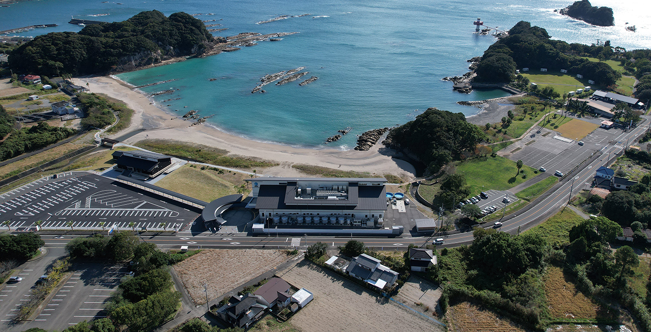足摺宇和海国立公園